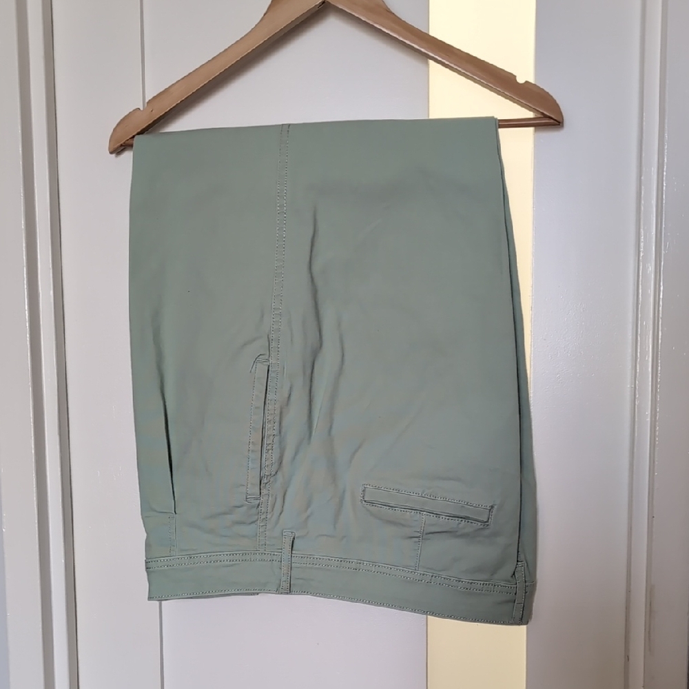 a.n.a Mint Green Ankle pant Chino